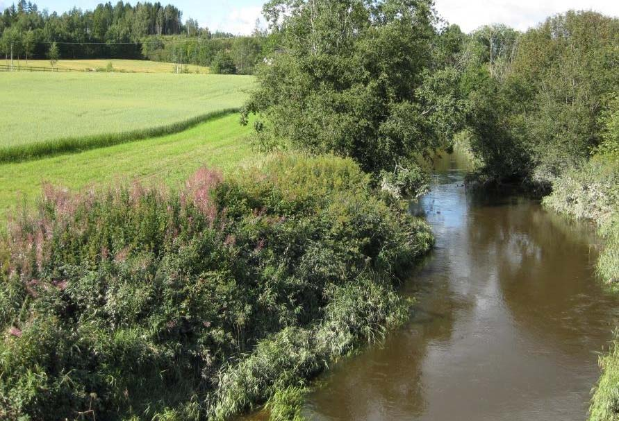 Økt matproduksjon Politisk målsetning (20%, økt selvforsyning) Vanndirektivet Biologi, hydromorfologi, kjemi Endret