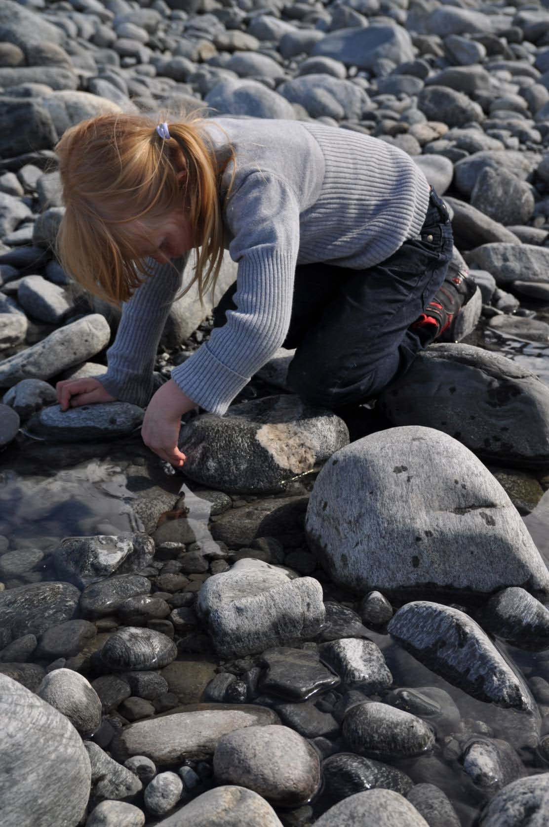 Sluttoppgave: hva er den geologiske historien i ditt lokalmiljø begrunn svaret med egen observasjoner.