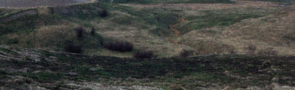 Figur 4. Bilde av rasgropa omkring 1975. Gretnes gård sees i treklyngen på toppen. Kilevoldveien 24 sees ved skolen og nr. 26 (Sarepta) til høyre i bilde. Sammenlign Figur 3 og 10. Foto: T. Klemsdal.