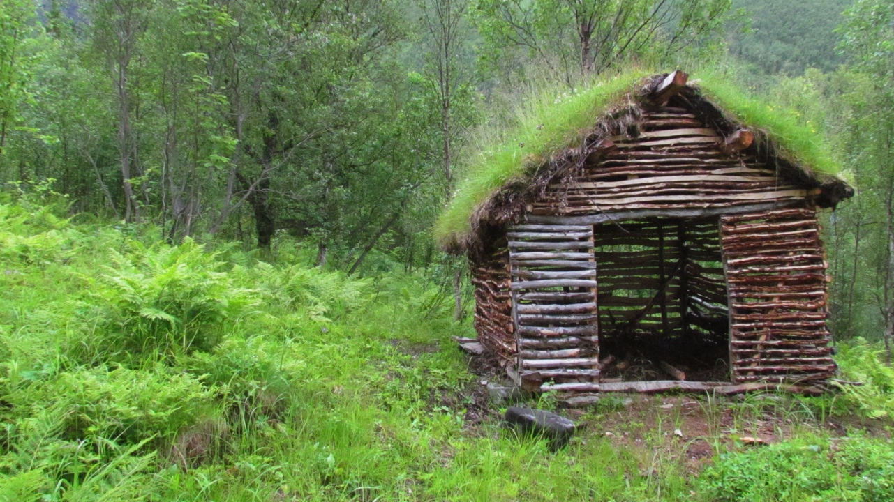 Ecofact rapport 240 Side 6 tresjiktet ble ikke regelmessig utnyttet til annet enn ved. Dette gir utforming lauveng med dunbjørk (D1703). Figur 1.