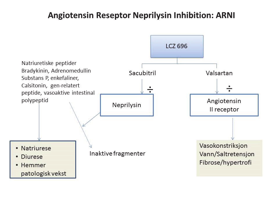 Figur 1 viser effekten av sacubitril-valsartan (LCZ 696).