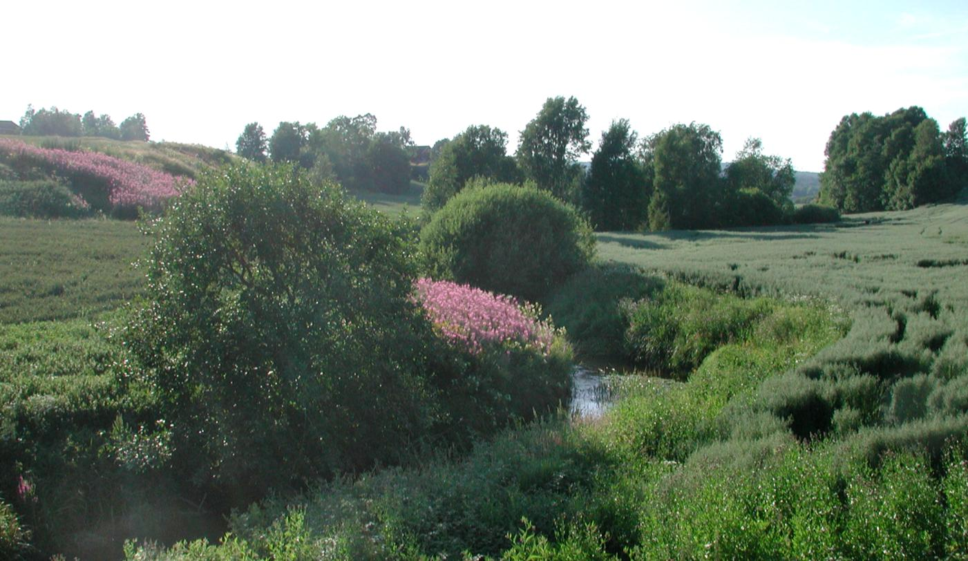 BioforskFOKUS Vol. 3 Nr.