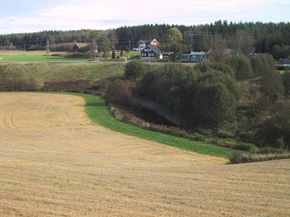 3 Norge har fylkene valgt litt forskjellig enhet å rapportere på, dvs noen rapporterer på daa sone og noen på antall meter. Det er derfor ikke så lett å summere opp til ett nasjonalt tall.