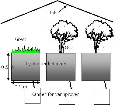 4 bare gress. Langtidsrenseeffekter i vegetasjonssoner har også vært undersøkt. Lysimeterforsøk Rensing av overflateavrenning i rotsonen er blitt undersøkt i lysimetre (se figur 4).