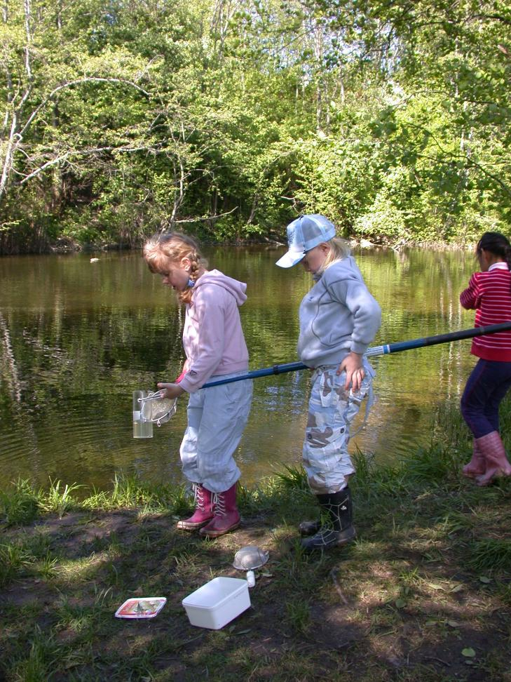 Uteskole gir rom for variasjon Faglige aktiviteter Kroppslige aktiviteter