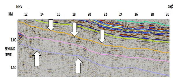 Fig. 7.3: Hvite piler markerer bunn trias (lilla linje) og topp trias (oransje linje). Rosa linje markerer overgangen fra Sassendalgruppen til overliggende Kapp Toscana gruppen. 7.1.