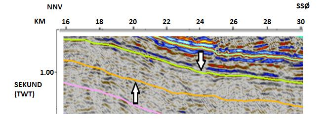 Fig. 7.4: Hvite piler markerer bunn jura (oransje linje) som utgjør en svak reflektor, og topp jura (gul linje) som er markert av en sterk reflektor. 7.1.