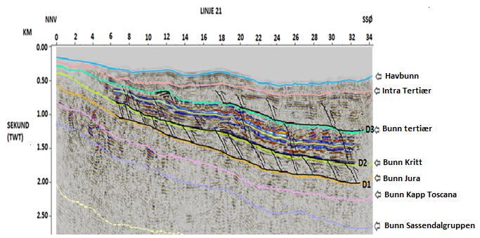 Fig. 7.7: Utsnitt av linje 21 hvor hovedstrukturene er tolket. D1, D2 og D3 markerer glideplan.