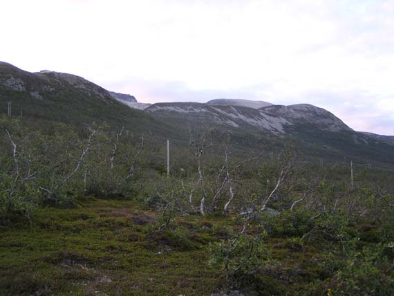 7.2.2 Driftsforholdene i Ringvassøy reinbeitedistrikt Ringvassøya har gjennomsnittlig 1020-1110 mm nedbør. Gjennomsnittlig vintertemperatur ligger på 3,0 grader C (nov-mars) og 3,3 grader C for året.