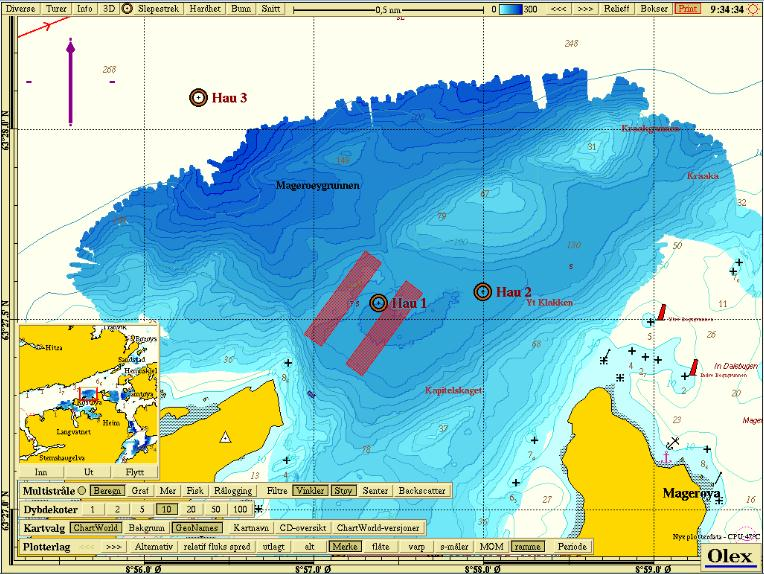 2 MATERIALE OG METODER 2.1 Undersøkelsesområdet Undersøkelsesområdet ligger på nordøstsiden av Magerøya i Hemne kommune, på sørsiden av Trondheimsleia (Figur 2.1).