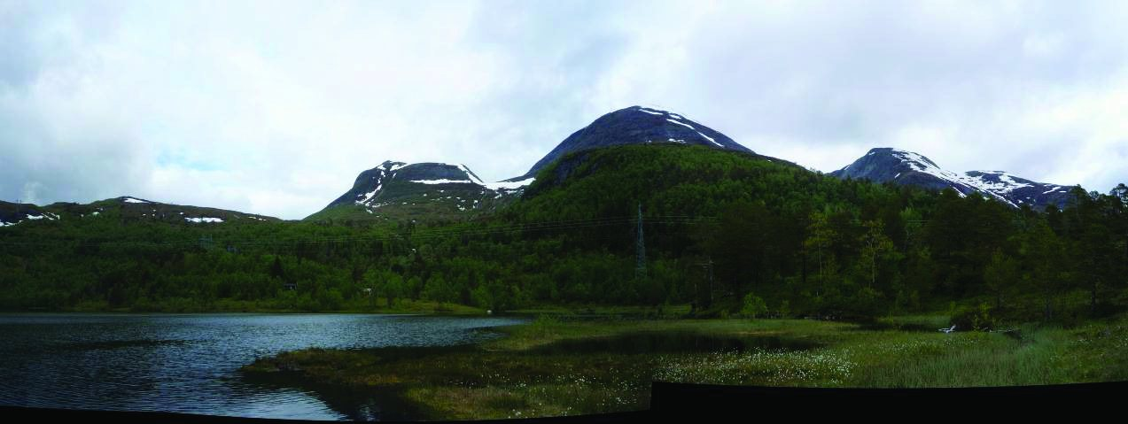 Figur 9: Terrengbeskrivelse. Fjellsida nedenfor Hesthaugtind. Tatt litt lenger opp enn forrige bilde og landskapet er her mer alpint. I bakgrunnen skimtes Øverås og Eikesdalsvatnet.