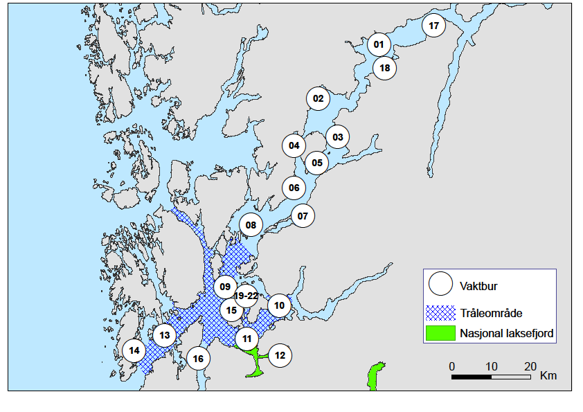 Figur 14. Antall lakselus (A), relativt antall lus (lus per gram kroppsvekt) (B) og stadiefordeling av lakselus (C) i periode 1 og 2 på undersøkte stasjoner i Sunnhordland og Hardanger.