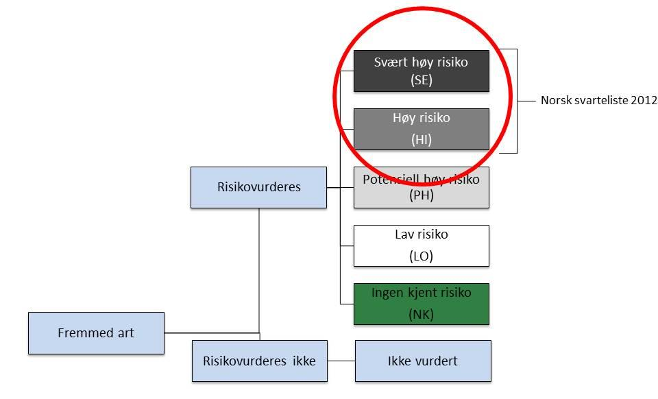 21 FREMMEDE ART ER Det er forvaltningsmyndighetens ansvar å bekjempe fremmede arter i verneområder. I Rotlia naturreservat er det altså Fylkesmannens ansvar.