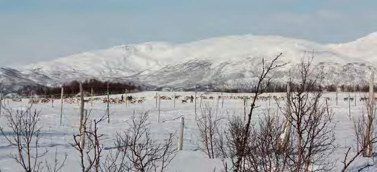 TROMSØ HAVN - Årsrapport 19 utvikling.