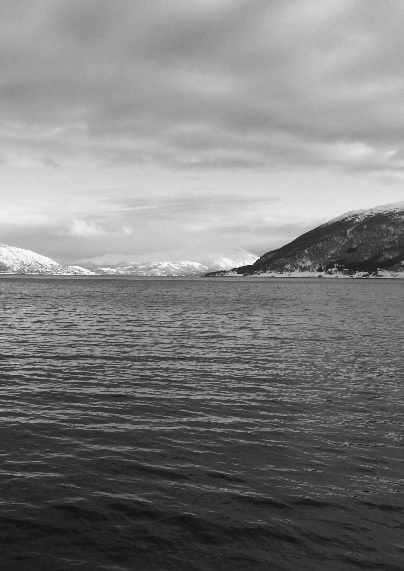 NOR-FISHING Selger inn Tromsø under Nor-Fishing i Trondheim VISNINGSTUR Arrangerer visningstur for cruiserederi og presse BESØK Oljeselskap på besøk på Grøtsund BESØK Besøk av driftsavdelingen til