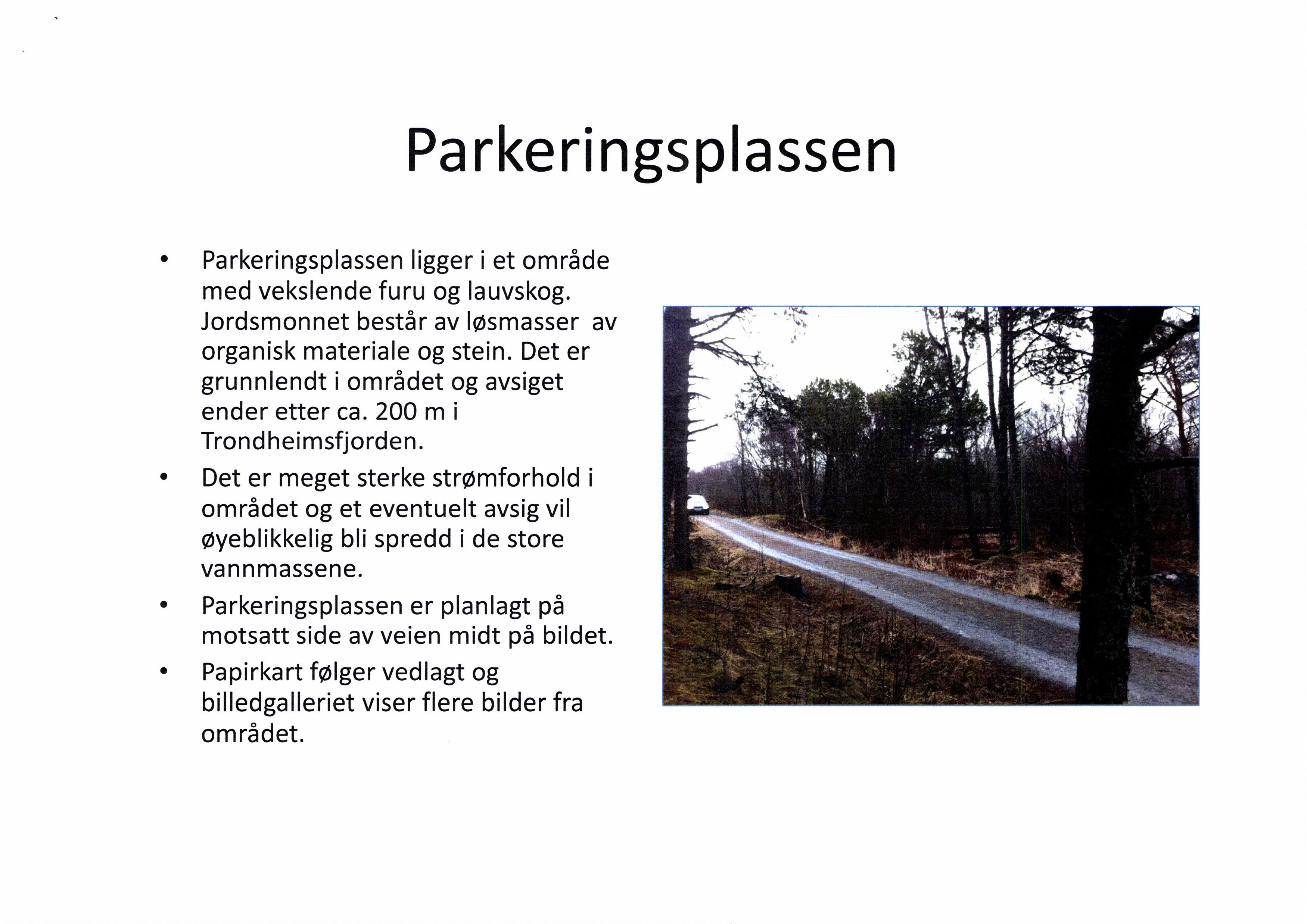 Parkeringsplassen Parkeringsplassen ligger i et område med vekslende furu og lauvskog. Jordsmonnet består av løsmasser av organisk materiale og stein.