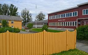 Nidarvoll skole Greina - et klasserom ute i naturen Greina ønsker vi å utvikle som en læringsarena for å forstå mangfoldet i naturen og hva vi som