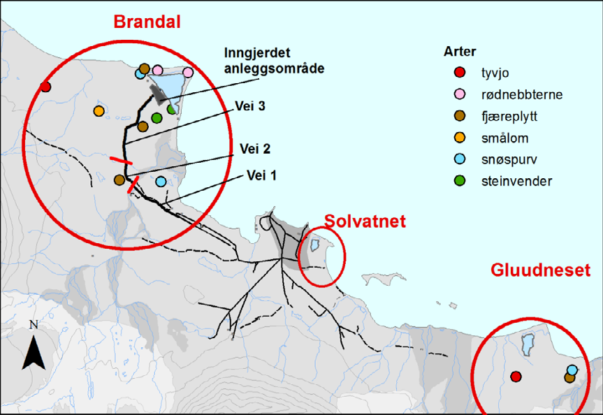 Figur 4.3. Lokalisering av hekkeregistreringer i 2015 i det berørte området på Brandal og i kontrollområdene Solvatnet og Gluudneset (se tabell 4.1). Hver art er angitt med forskjellige farger.