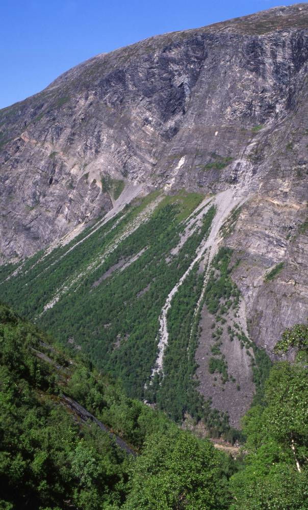 er observert flygende i skoglysninger i fjellsiden ovenfor dette vatnet av Oddvar Hanssen og Kaare Aagaard etter at Jarle Inge Holten først så flere individer i rasmarkene her tidlig på 1980-tallet.