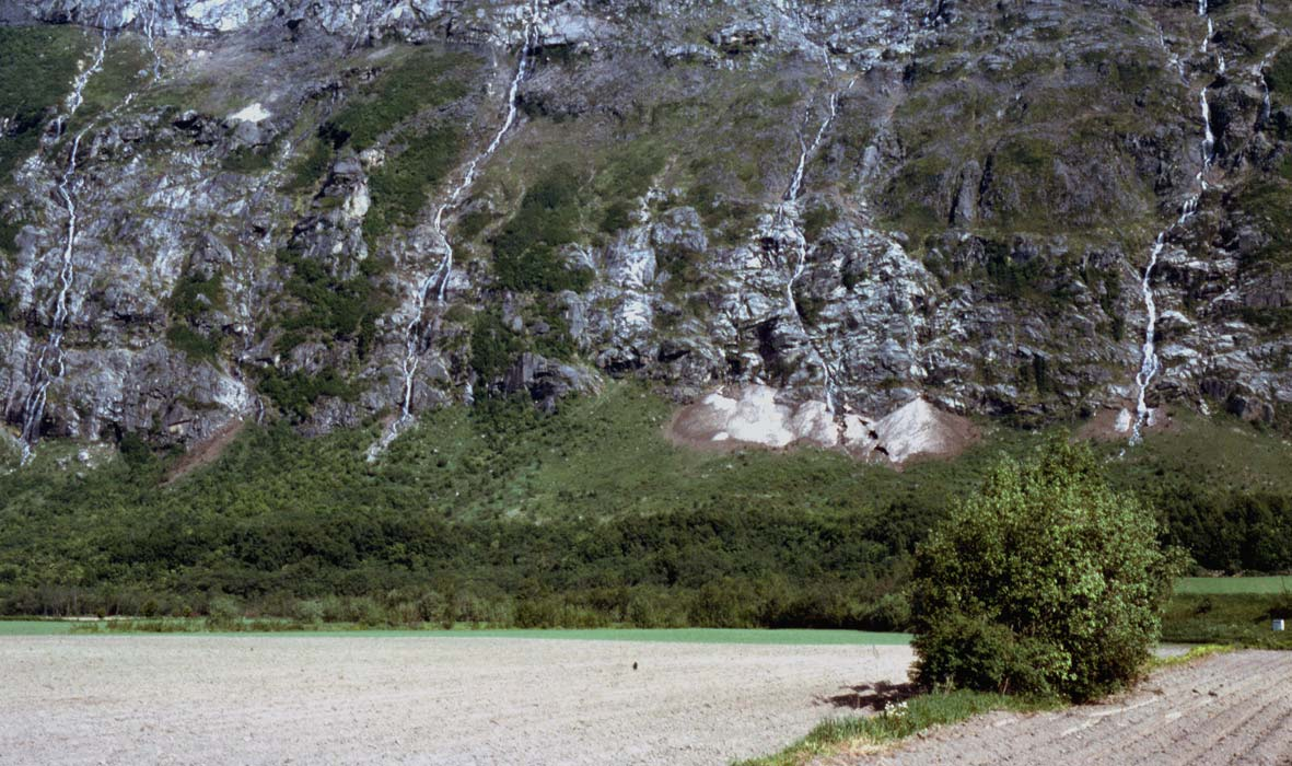 Figur 11. Rasmarkene med forekomseter av mnemosynesommerfugl ved Oreiman nederst i Sunndalen. Her går den beryktete Kufonna regelmessig og holder store områder fri for skog. Foto: Oddvar Hanssen.