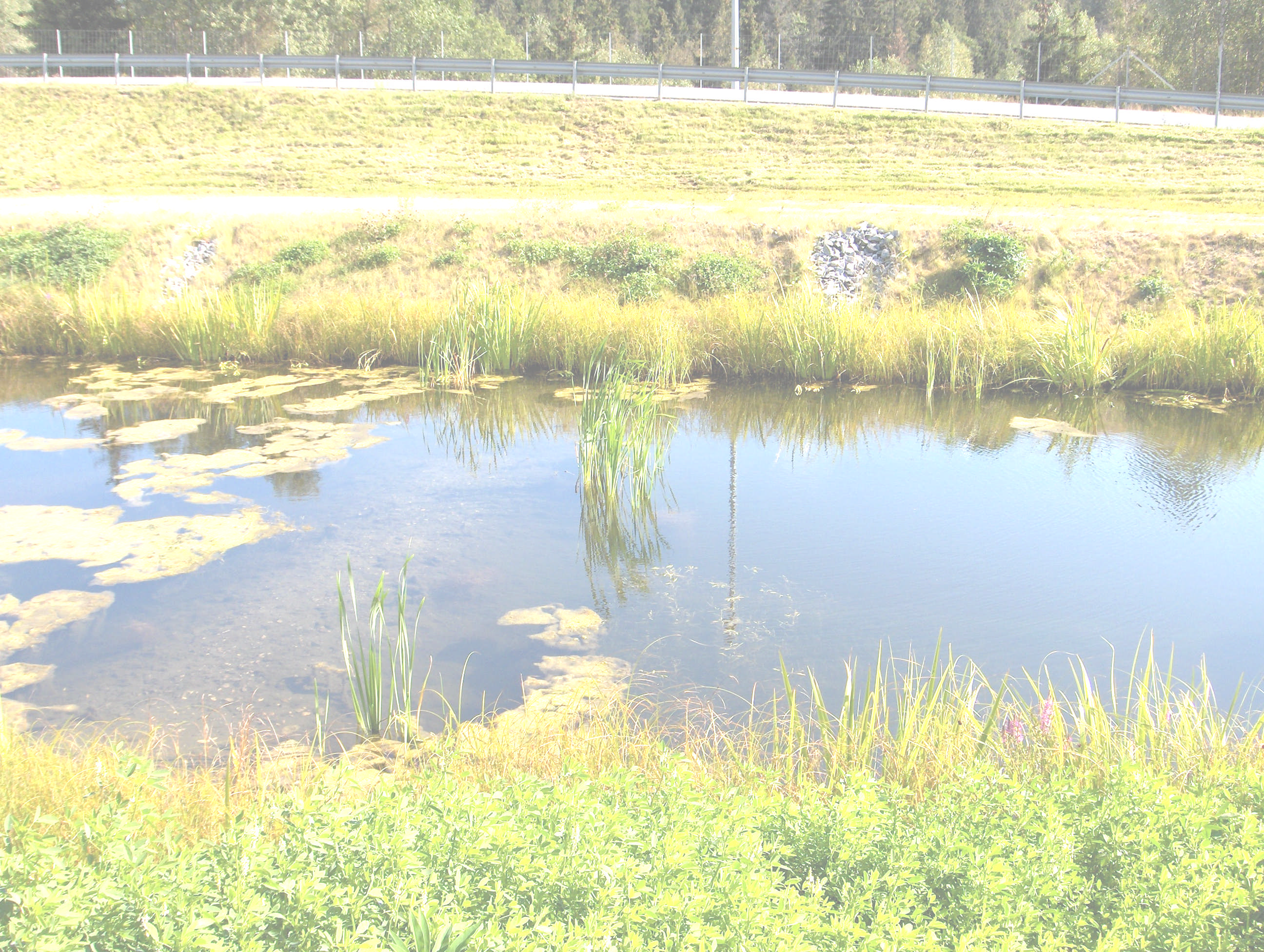 Flom og erosjon Miljøeffekt av økt mengde overflatevann og mulige endringer i