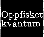 Tabell 1. Det årlige tltbyttet av fisk, 1 lever og tran, samt I antallet av fiskere siden 1930. Leverhol Ar fiskere Antall 1 ) piisket kvantum fisker '2 Fisk pr.