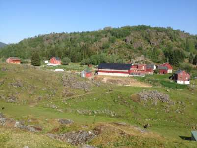 ÅNDERVÅG GÅRD Naafs / Mørstad Landbruk DA 280 melkgeit 10-12 Ammekyr