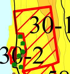 Dok: (9 og) 30-1 og 30-2 Navn: Vassetli gnr 142 bnr 16 Forslagstiller: Sofie og Olav Skarpsås Dagens Formål: LNF Foreslått formål: H30-1: 15 Hytter H30-2: båtplass, grillplass og boder mm