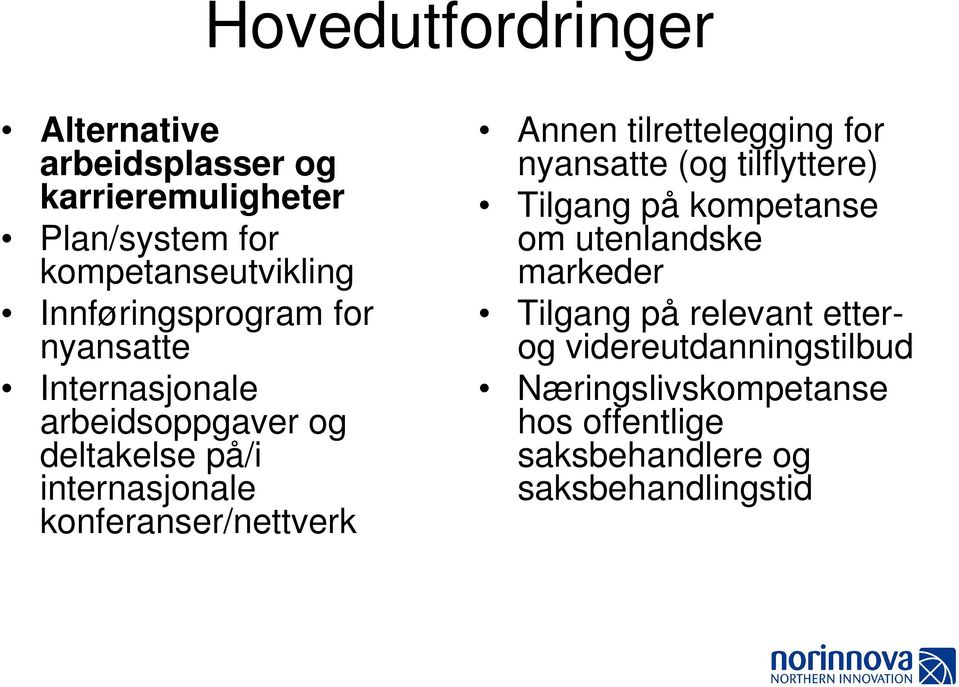 konferanser/nettverk Annen tilrettelegging for nyansatte (og tilflyttere) Tilgang på kompetanse om utenlandske