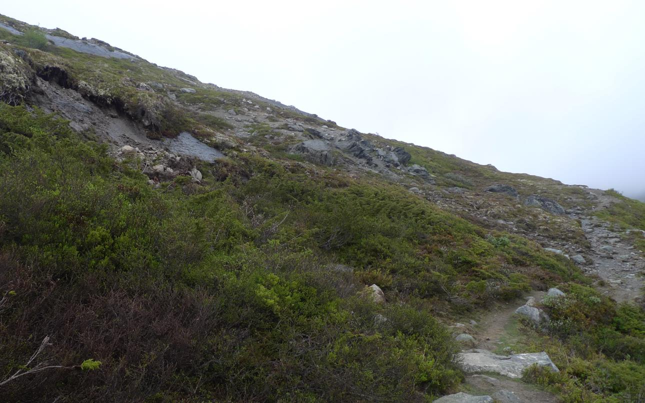 Området som er prega av utrasing. Ny stig på ta opp heilt til høgre i bildet og gå inn på ei hylle vestover før den svingar ned på stigen att.