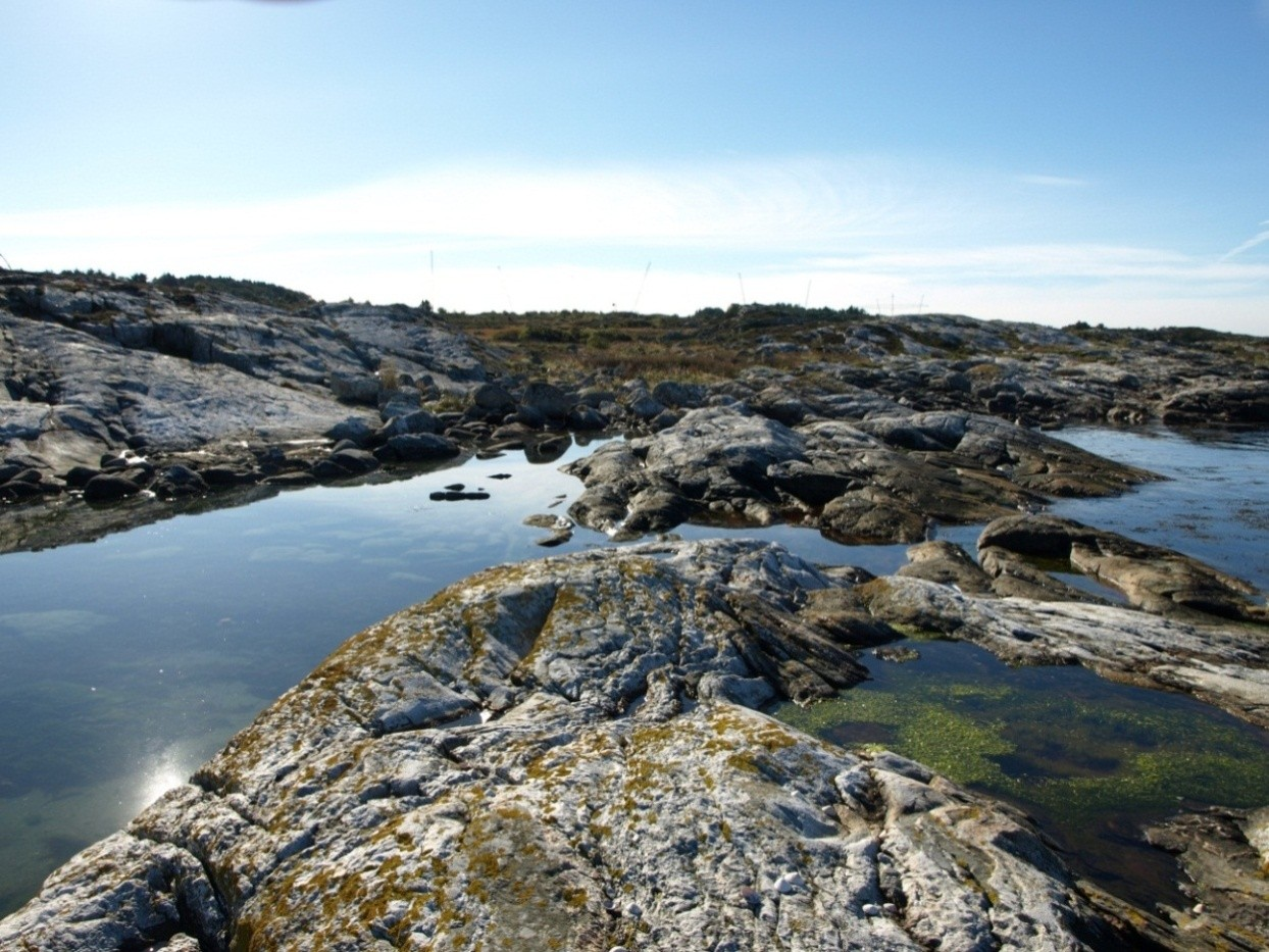 Figur 6 Terrenget umiddelbart inntil sjøbadet er preget av fjell i dagen Figur 7 Eksisterende terreng sør og øst for sjøbadet, der det planlegges