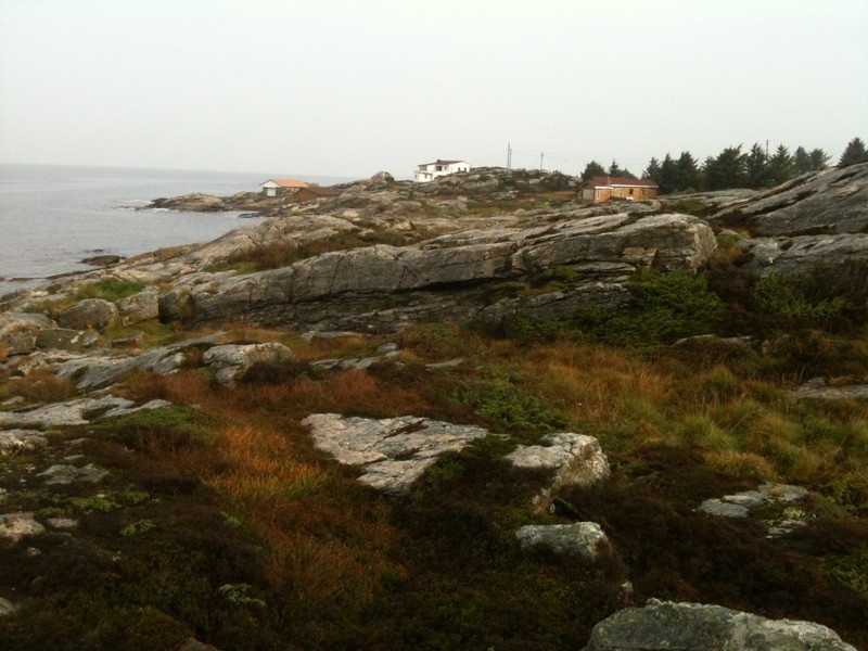 Planområdet består i stor grad av kystlynghei med mye stein og berg i dagen.