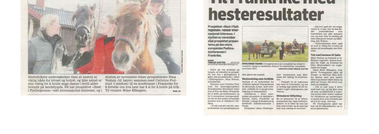 Synliggjøring Hest som