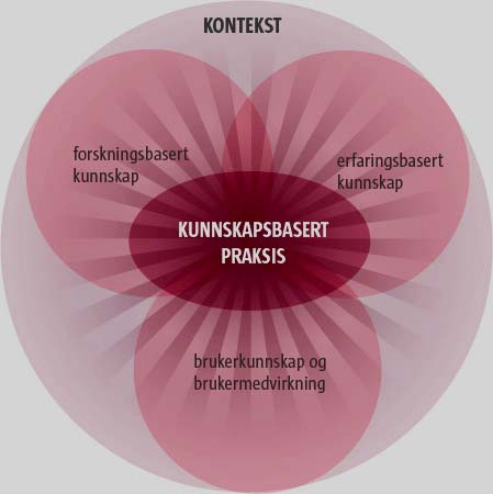 Handlingsplan for brukermedvirkning i Norge er en rettesnor for ledere, ansatte og brukere i arbeidet for å gi brukere reell innflytelse inn mot spesialisthelsetjenesten på system- og individnivå.