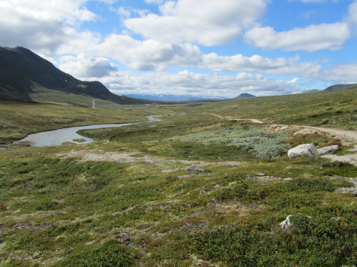 4 VERDI FOR LANDBRUKET OG VERDIVURDERING 4.1 Områdebeskrivelse 4.1.1 Landskap, klima, geologi og vegetasjon Hovedtrekk i landskapet Området ligger mellom ca 950 moh og 1900 moh og er et typisk høgfjellsområde.