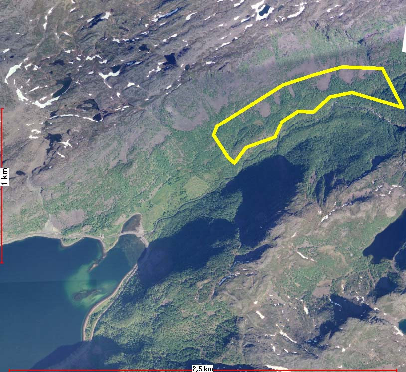 Områder avsatt i gjeldende plan (forts.) St.