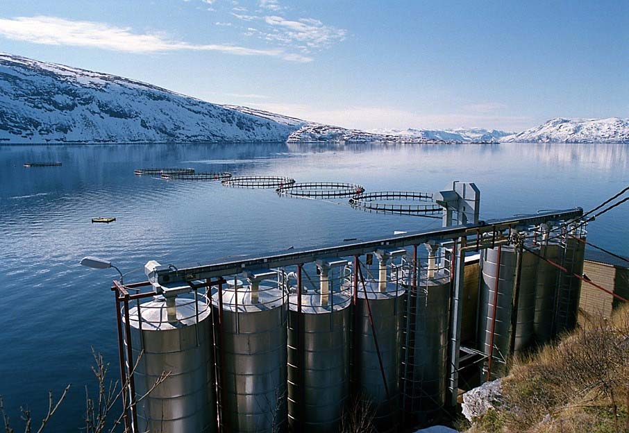 Kystsone Akvakultur Nye driftsformer Større enheter Økt biomasse