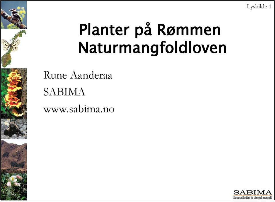 Naturmangfoldloven