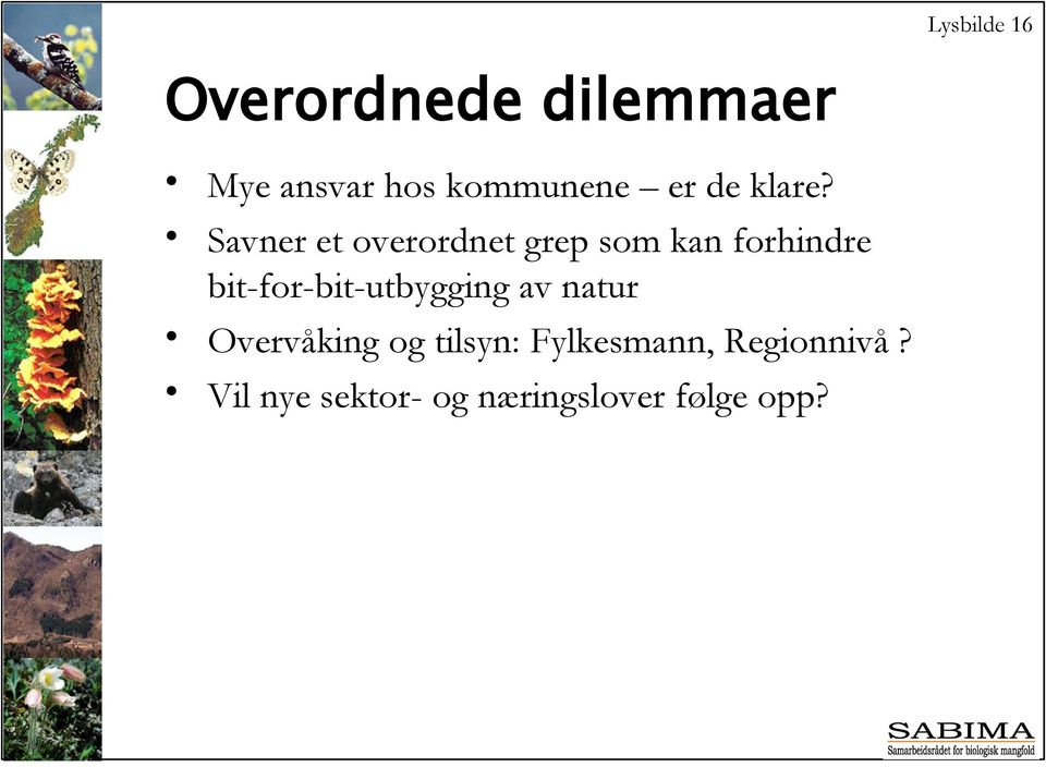 Savner et overordnet grep som kan forhindre