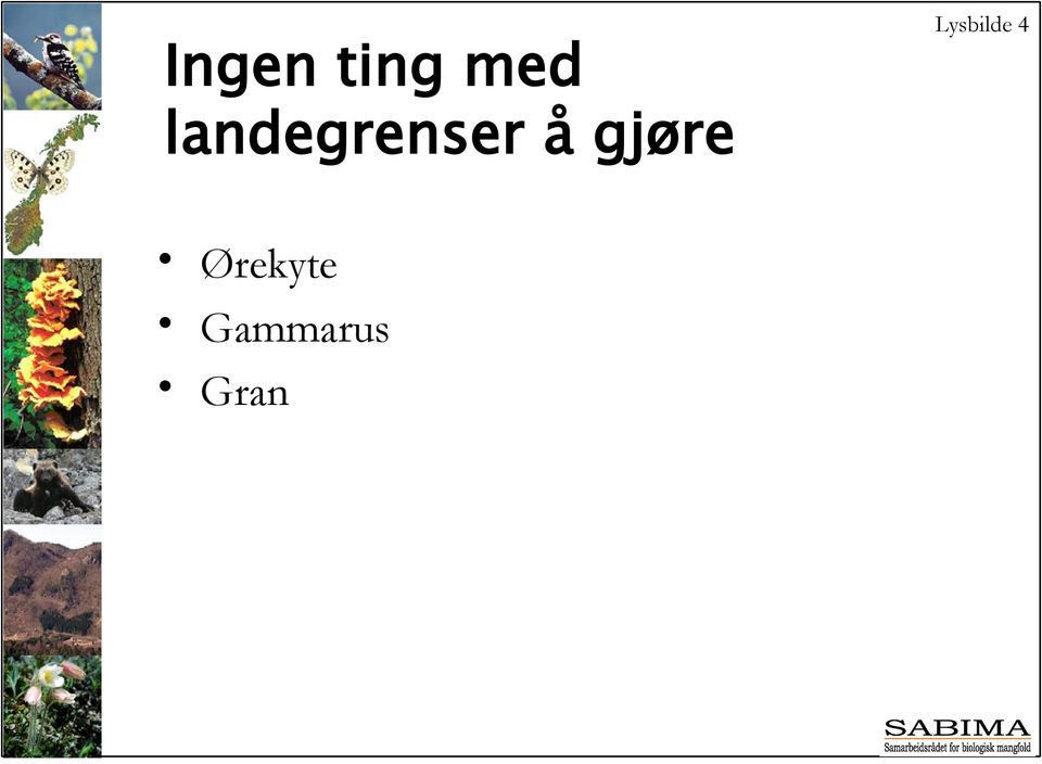 gjøre Lysbilde 4