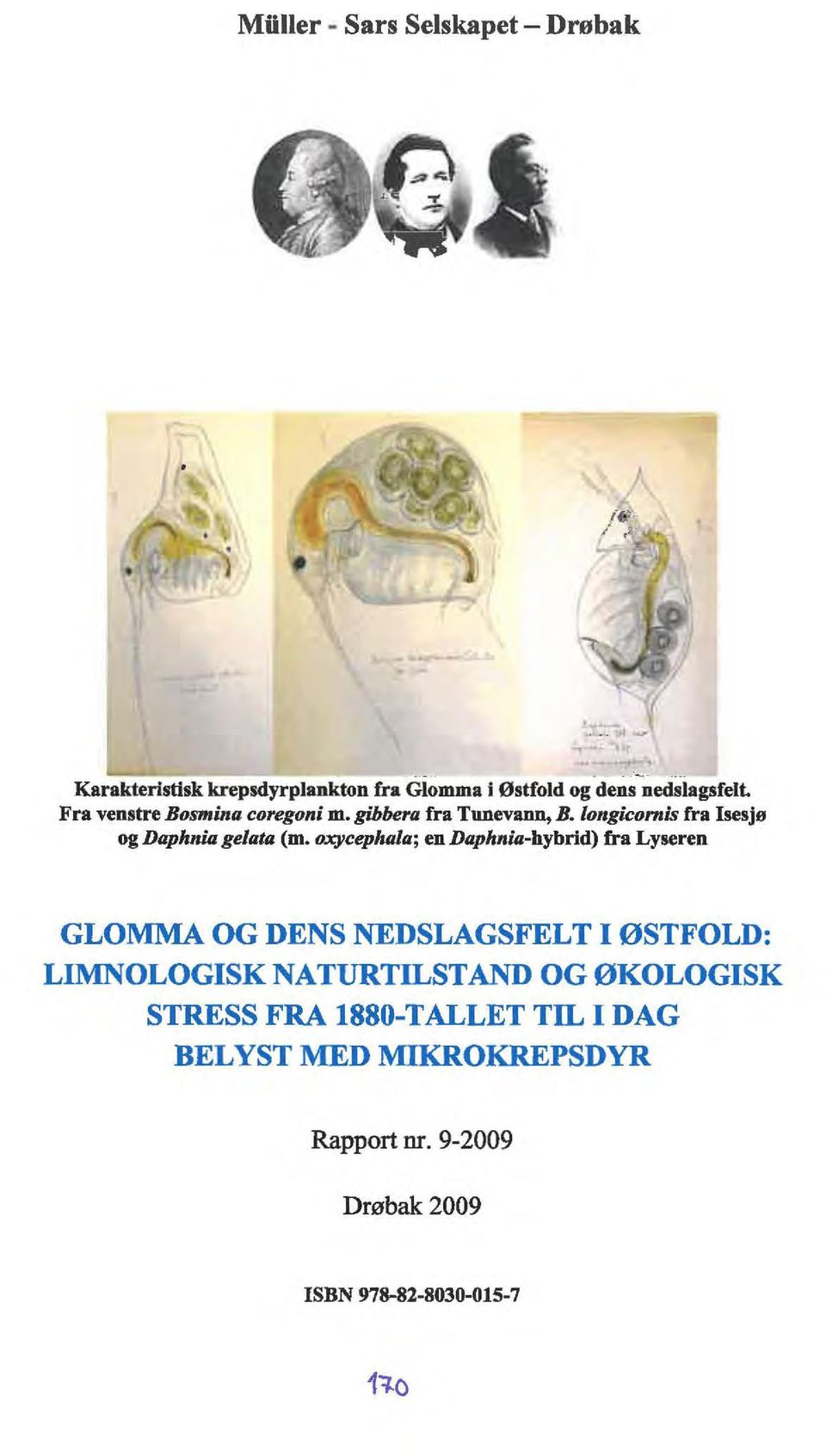 oxycephala; en Daphnia-hybrid) fra Lyseren GLOMMA OG DENS NEDSLAGSFELT I ØSTFOLD: LIMNOLOGISK NATURTILSTAND OG