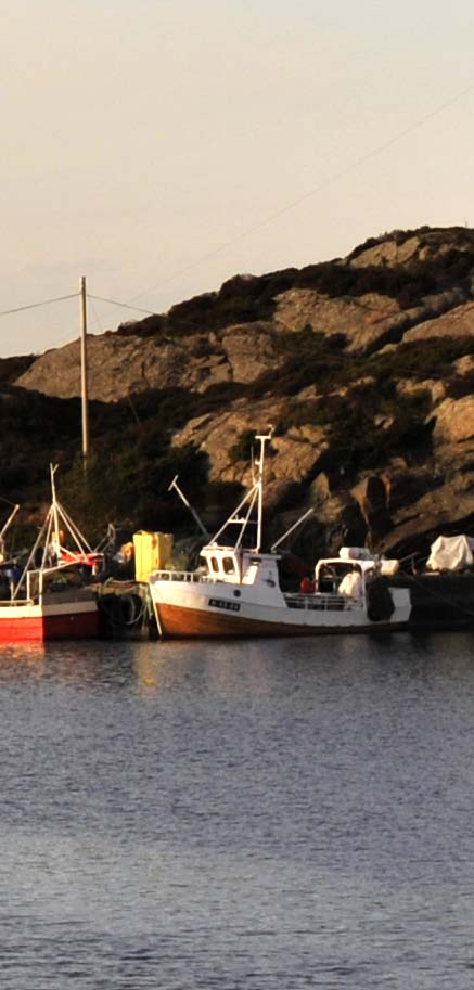 fiskeri og havbruk Prisane fell i uviss marknad Lågare etterspurnad og auka konkurranse pressar prisane i ein