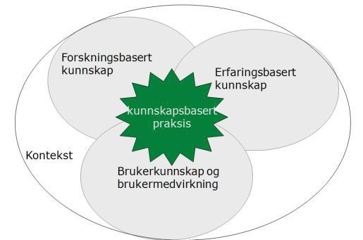 Kunnskapsbasert praksis kan illustreres slik (Nortvedt, 2008): Kompetanseoverføring I forbindelse med delprosjektgruppens oppdrag om å skissere modeller for kompetanseoverføring har det vært