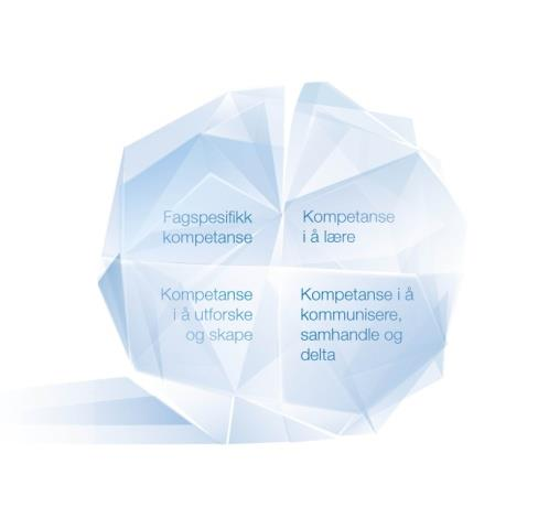 Fire kompetanseområder Fagspesifikk kompetanse i matematikk, naturfag og teknologi språk samfunnsfag og etikkfag praktiske og estetiske fag Å kunne lære metakognisjon og selvregulert læring Å kunne