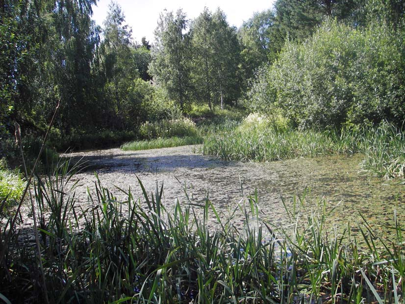 Beskrivelse av nedbørfeltet 1. Korsåsbekken Nedbørsfelt ned til og med midtre dam (K 2)