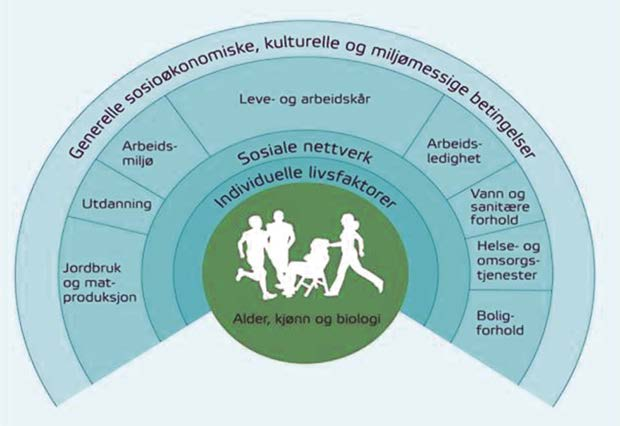 Program for kvalitetsutvikling i Trondheimsbarnehagen 2011-2014 Markaplan, handlingsplan for naturmiljø i Trondheim 2014-2018 For å sikre at folkehelse ivaretas i kommunens arbeid, er det opprettet