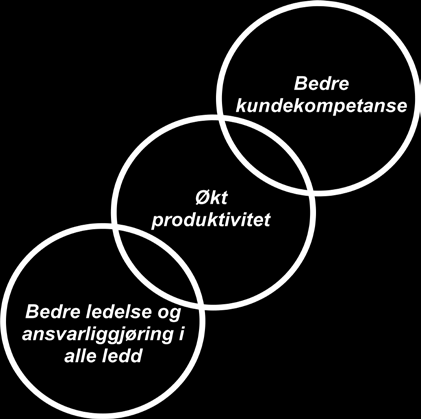 Programmets form og gjennomføring. Eiernes ønsker Programmets eiere ønsket først og fremst å skape reelle endringer i bygningskvalitet og i næringens lønnsomhet.