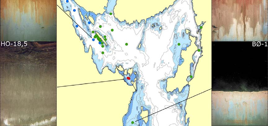 4.3.1 Sentrale deler av Ytre Oslofjord Figur 31 viser tilstandsklasse i henhold til BHQ-indeksen og bilder fra utvalgte stasjoner i sentrale deler av Ytre Oslofjord.