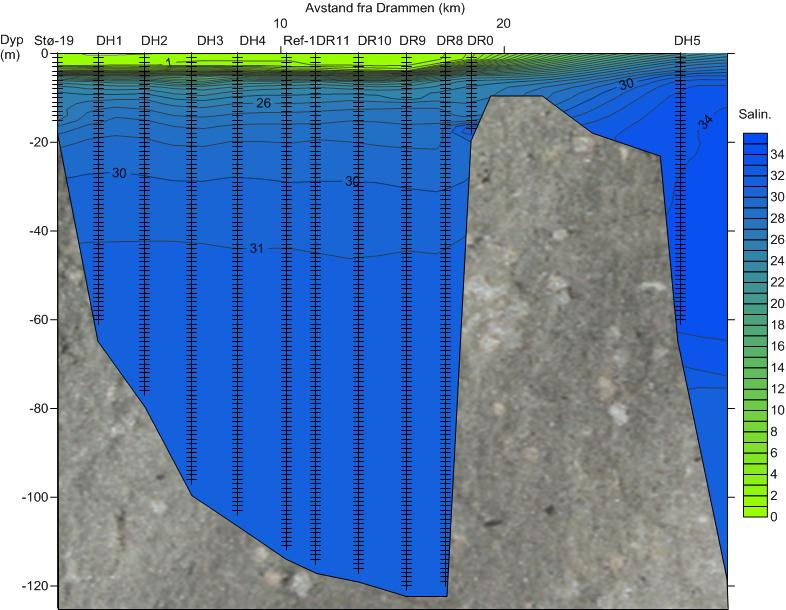 3 Resultater og diskusjon 3.1 HYDROGRAFI OG OKSYGEN Figurer som viser salinitet, temperatur og oksygen i Indre Drammensfjorden er vist i vedlegg 2.