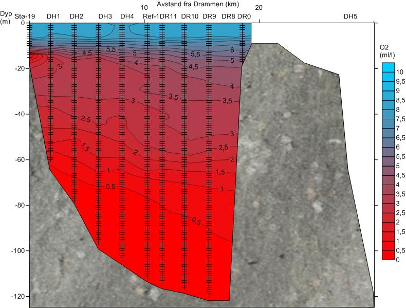 Dypvannet i Drammensfjorden har reduserte oksygenkonsentrasjoner. Store deler av vannsøylen har oksygenkonsentrasjoner i tilstandsklasse III til V («Moderat» til «Svært dårlig»).